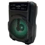 GTS-1346 Wireless Portable Speaker